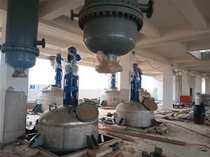 反應(yīng)釜攪拌裝置現(xiàn)場(chǎng)